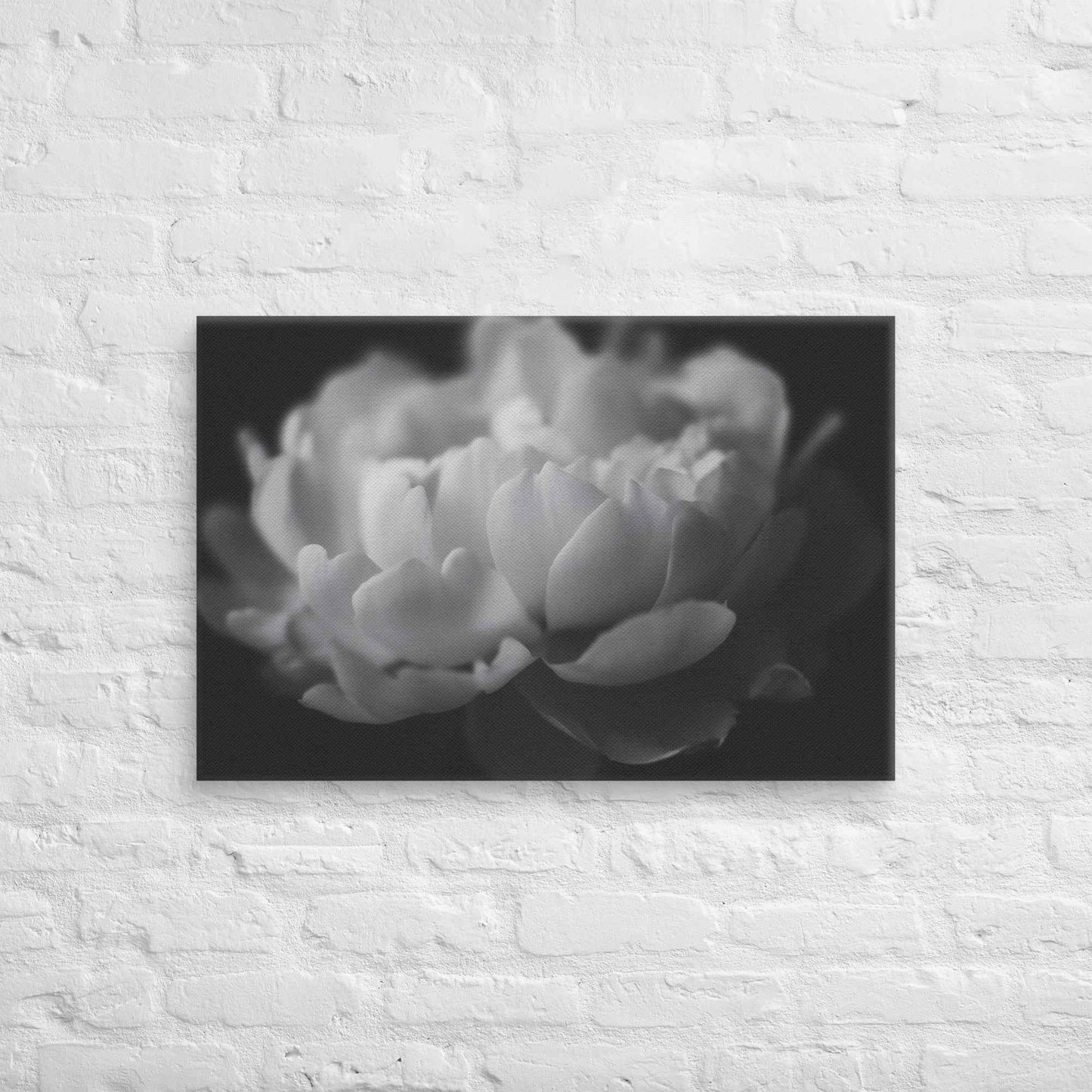 Contrast in Nature Floral Photorealistic Digital Artwork Peonies Wall Art Black and White Canvas Wall Art Print