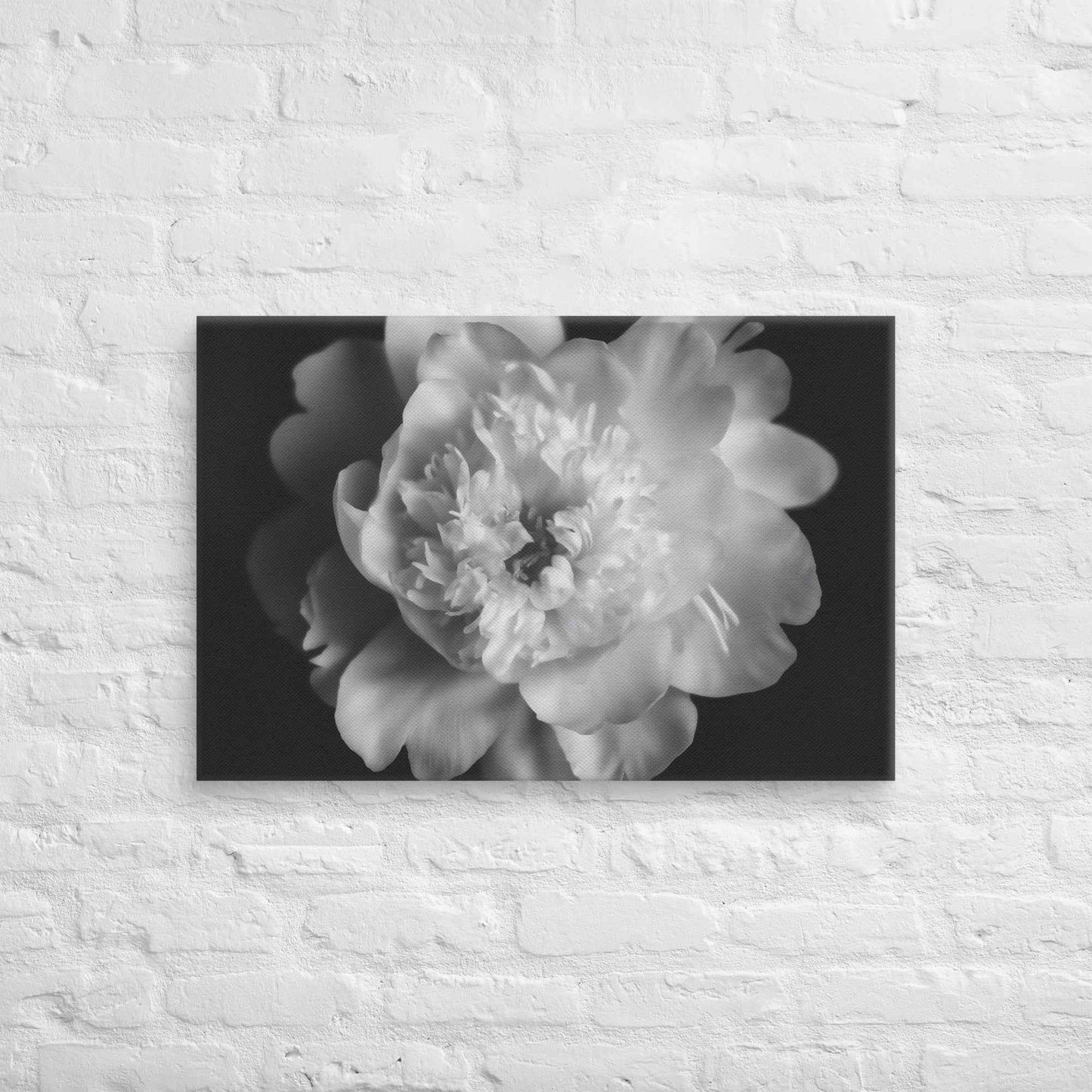 Lingering Fragrance Floral Photorealistic Digital Artwork Peonies Print Canvas Wall Art