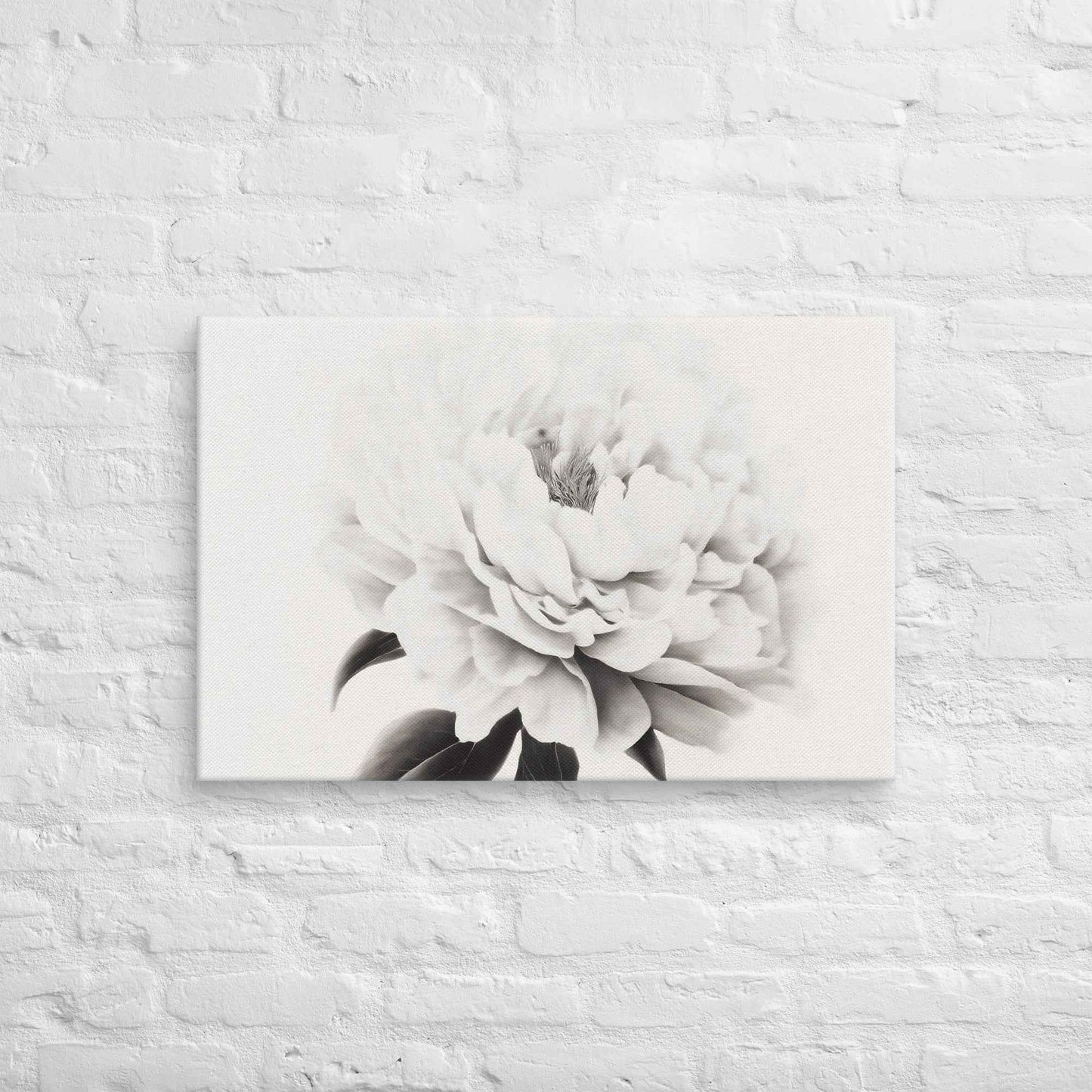 Pure Petals Floral Digital Artwork Abstract Peony Print Canvas Wall Art