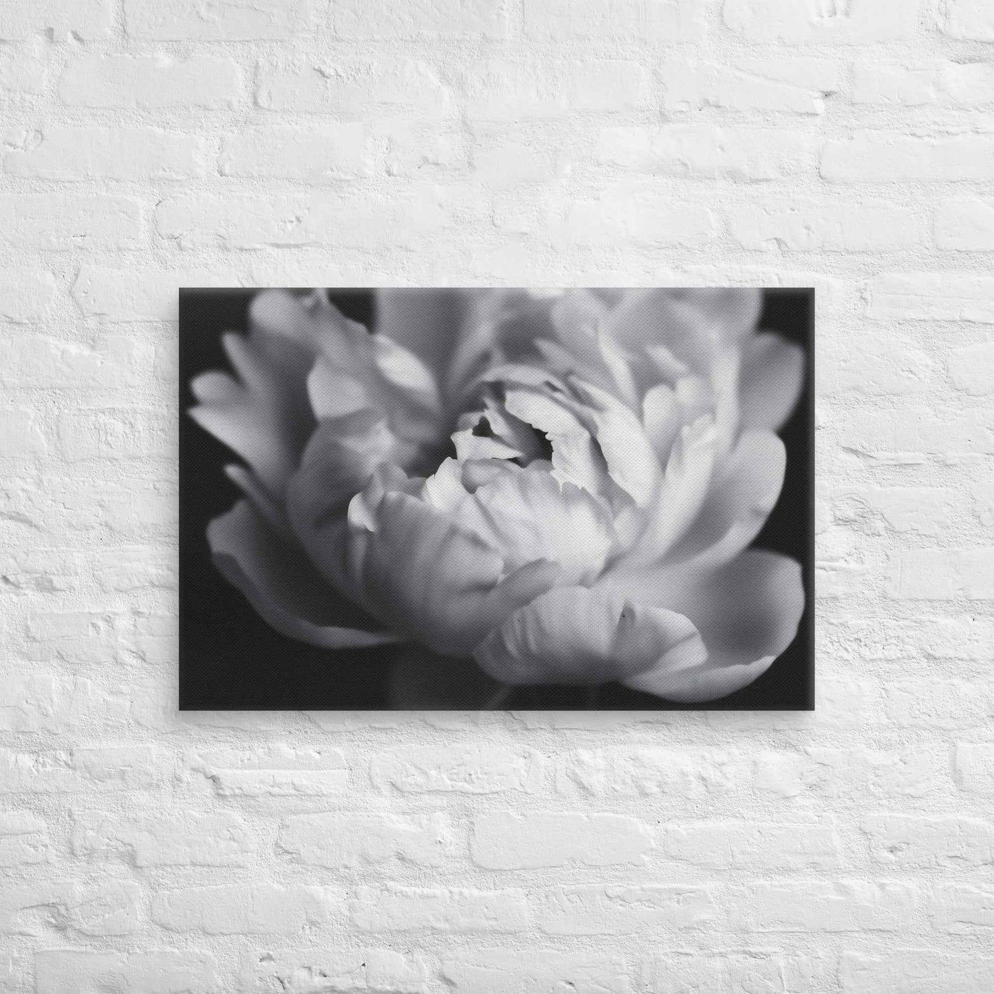 Shadow and Silk Floral Photorealistic Digital Art Peony Artwork Canvas Wall Art Print