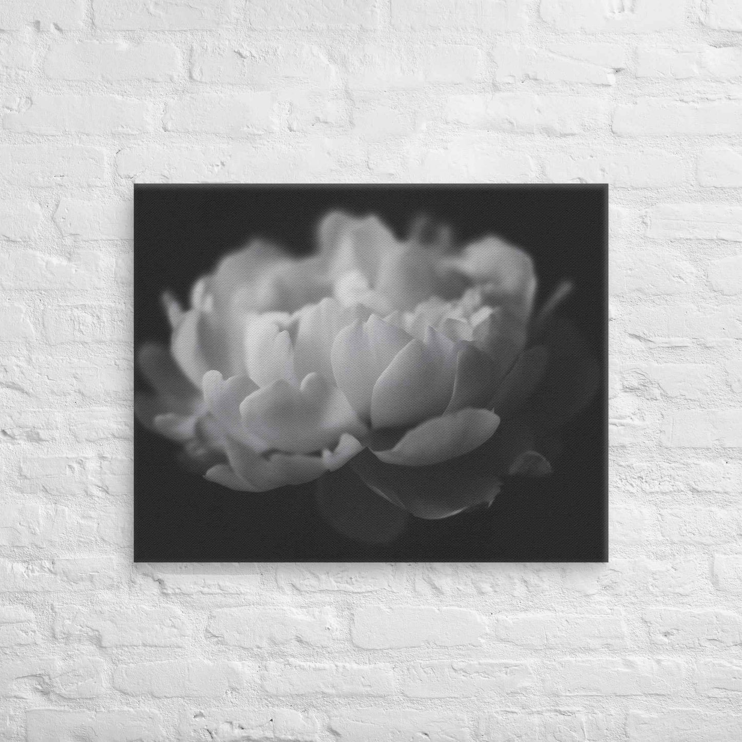 Contrast in Nature Floral Photorealistic Digital Artwork Peonies Wall Art Black and White Canvas Wall Art Print
