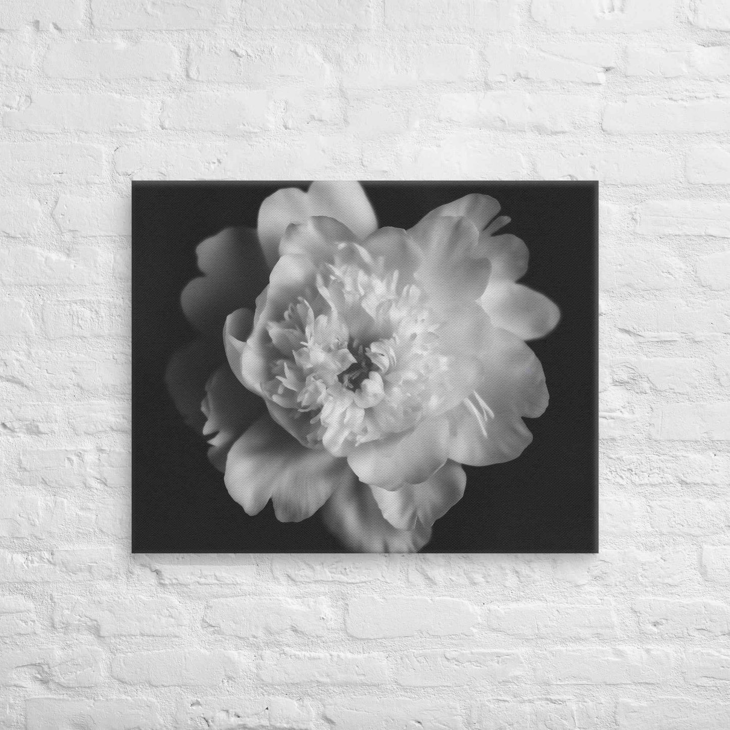Lingering Fragrance Floral Photorealistic Digital Artwork Peonies Print Canvas Wall Art