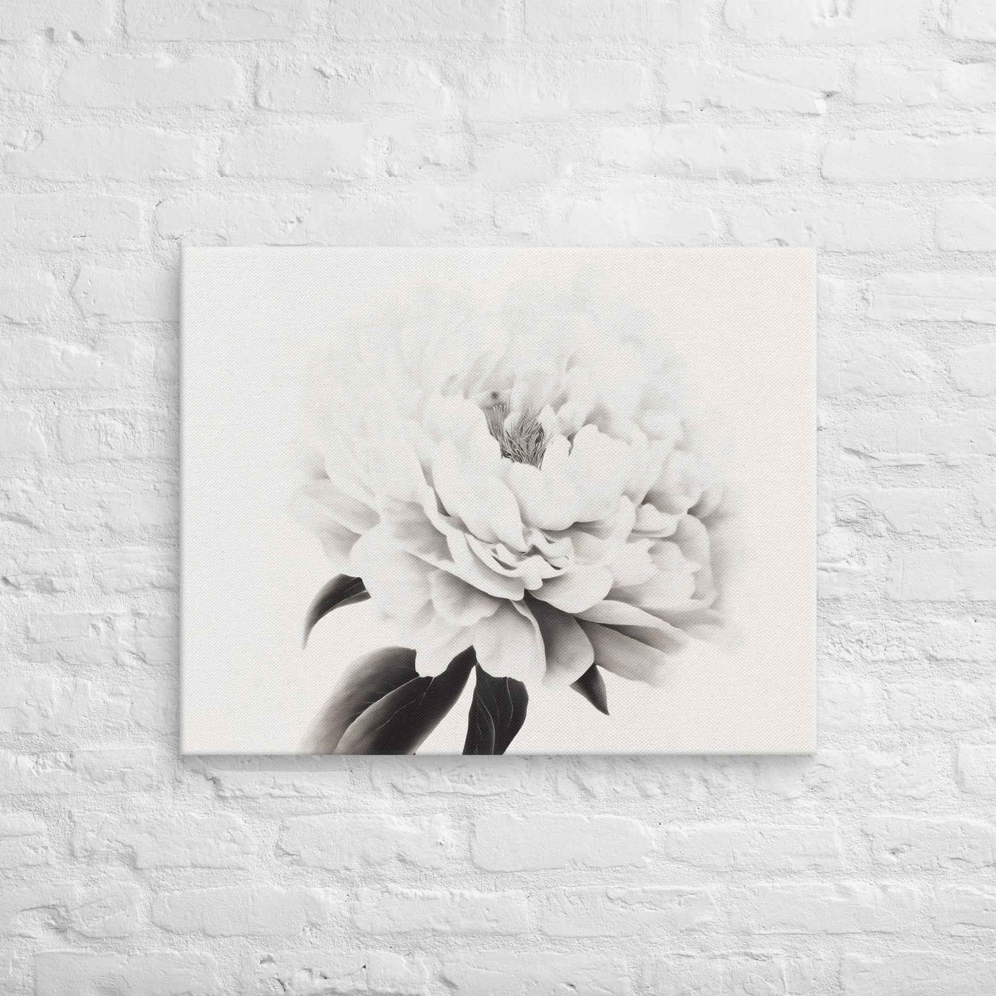 Pure Petals Floral Digital Artwork Abstract Peony Print Canvas Wall Art