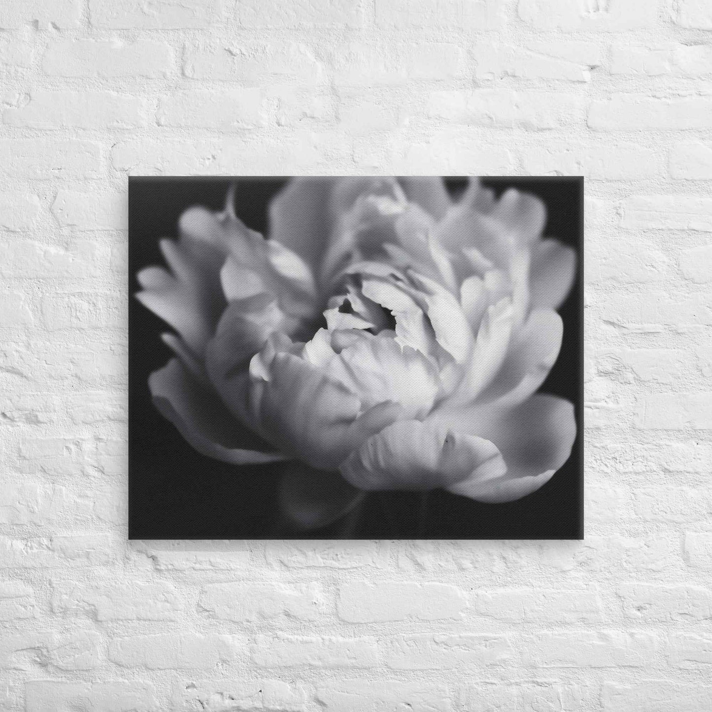 Shadow and Silk Floral Photorealistic Digital Art Peony Artwork Canvas Wall Art Print