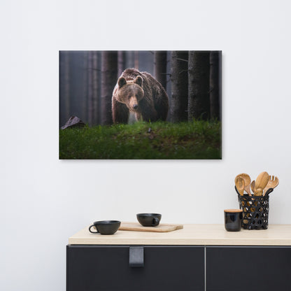 Brown Bear Walking Through Forest Animal Wildlife Photograph Canvas Wall Art Prints