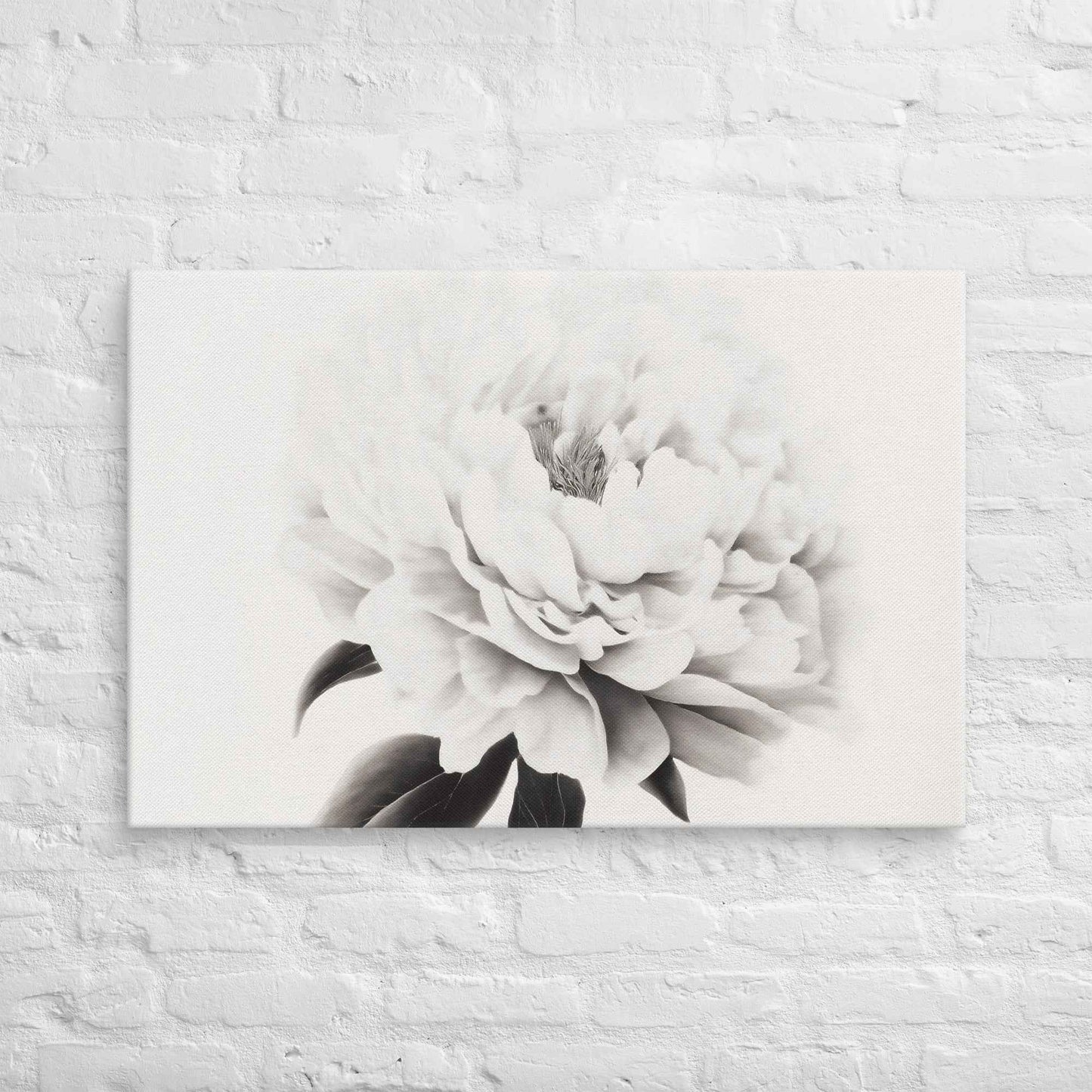 Pure Petals Floral Digital Artwork Abstract Peony Print Canvas Wall Art