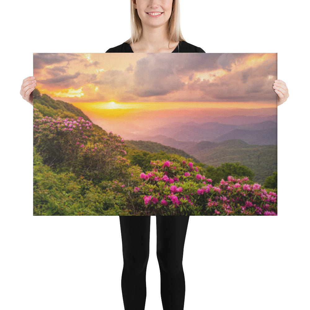Modern Above Bed Decor: Close of the Day - Appalachian Mountains Sunset - Floral / Botanical / Rustic Landscape Photograph Asheville North Carolina Blue Ridge Parkway