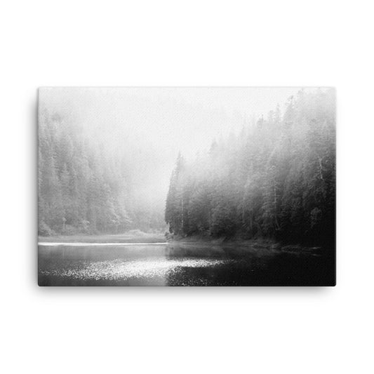 Rustic Canvas Co: Foggy River and Pine Trees Rural / Farmhouse Style / Landscape Photograph Canvas Wall Art Print