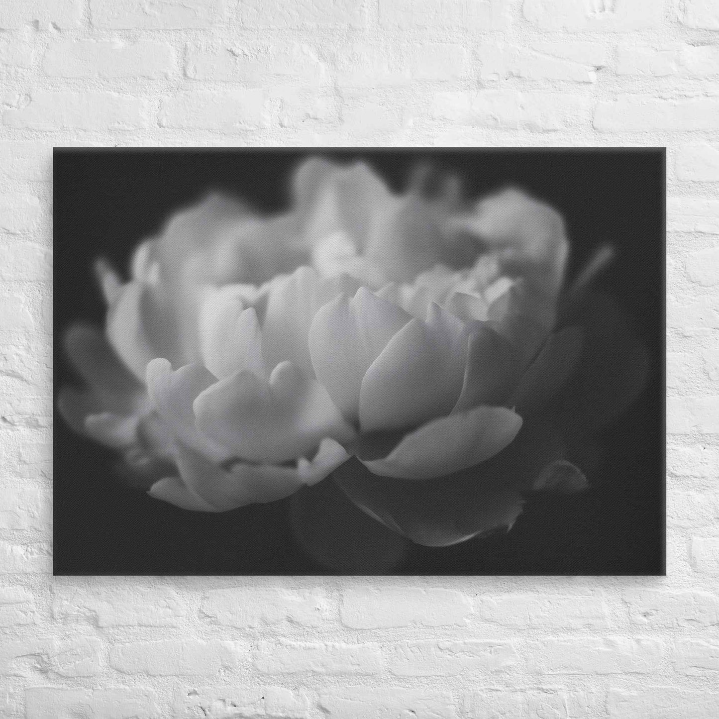 Contrast in Nature Floral Photorealistic Digital Artwork Peonies Wall Art Black and White Canvas Wall Art Print