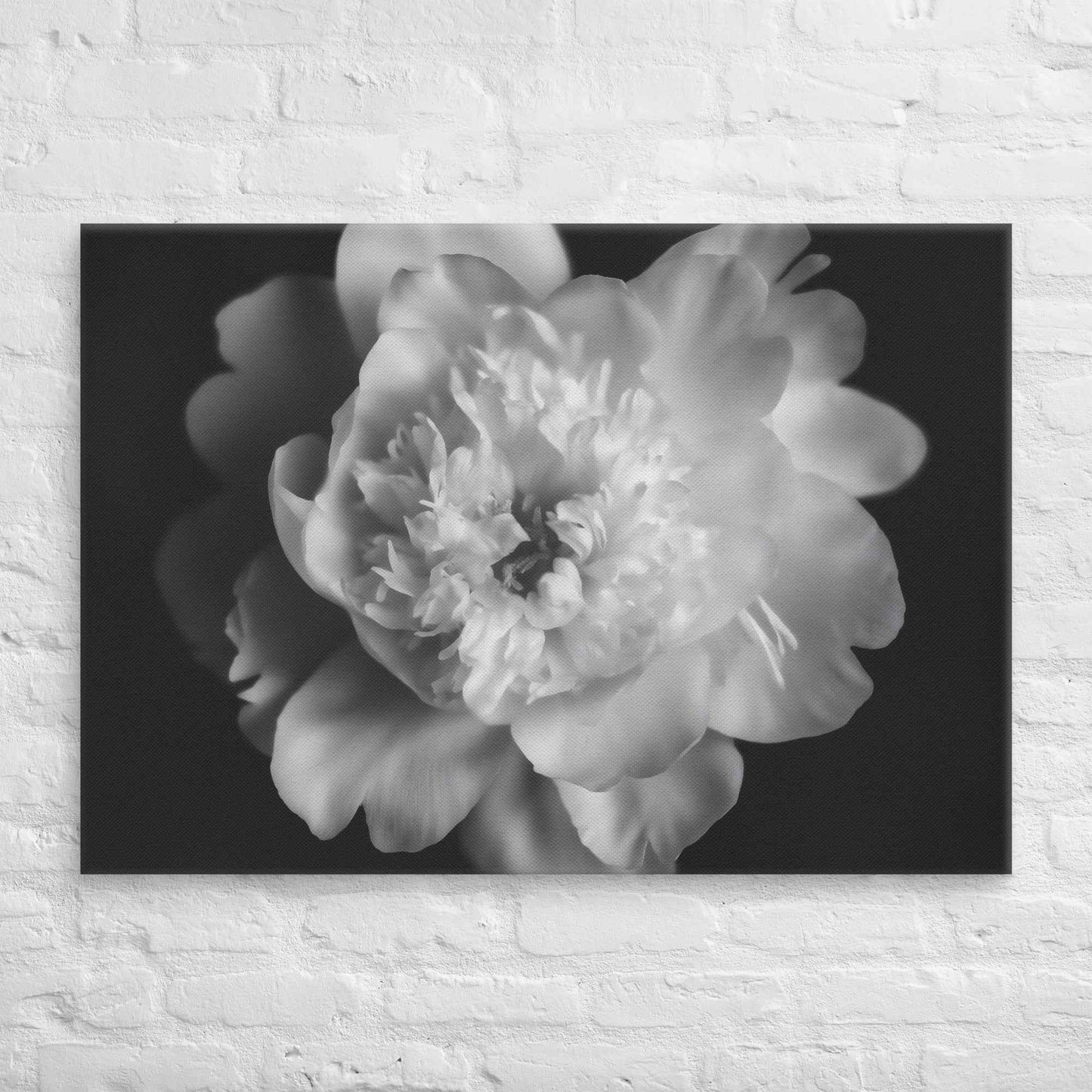 Lingering Fragrance Floral Photorealistic Digital Artwork Peonies Print Canvas Wall Art