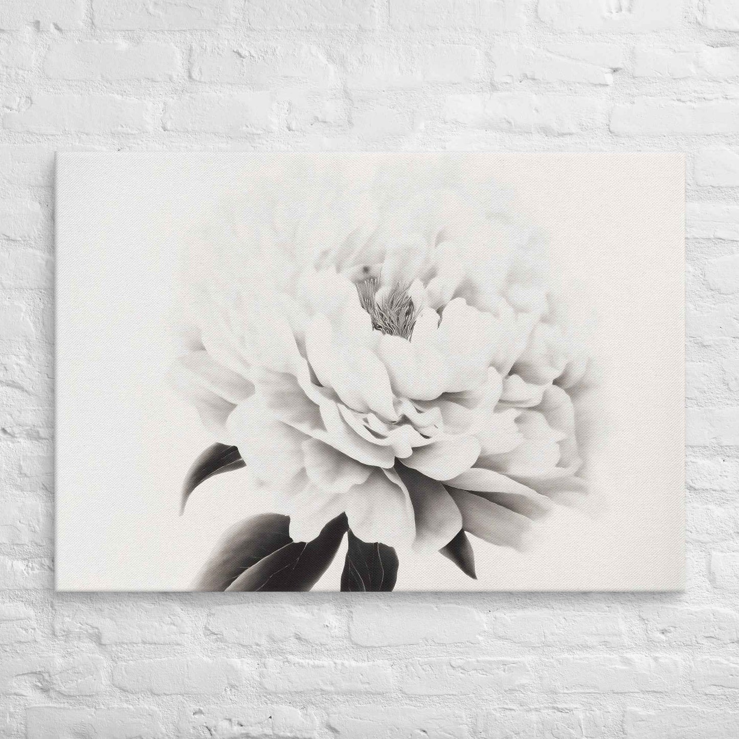 Pure Petals Floral Digital Artwork Abstract Peony Print Canvas Wall Art