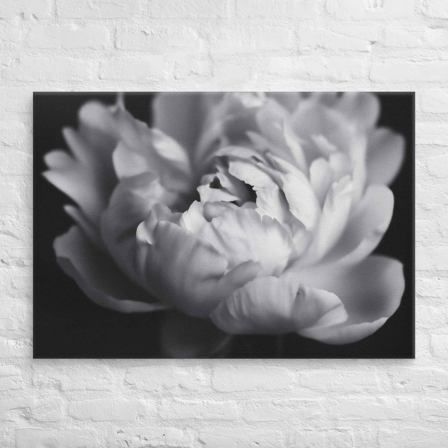 Shadow and Silk Floral Photorealistic Digital Art Peony Artwork Canvas Wall Art Print