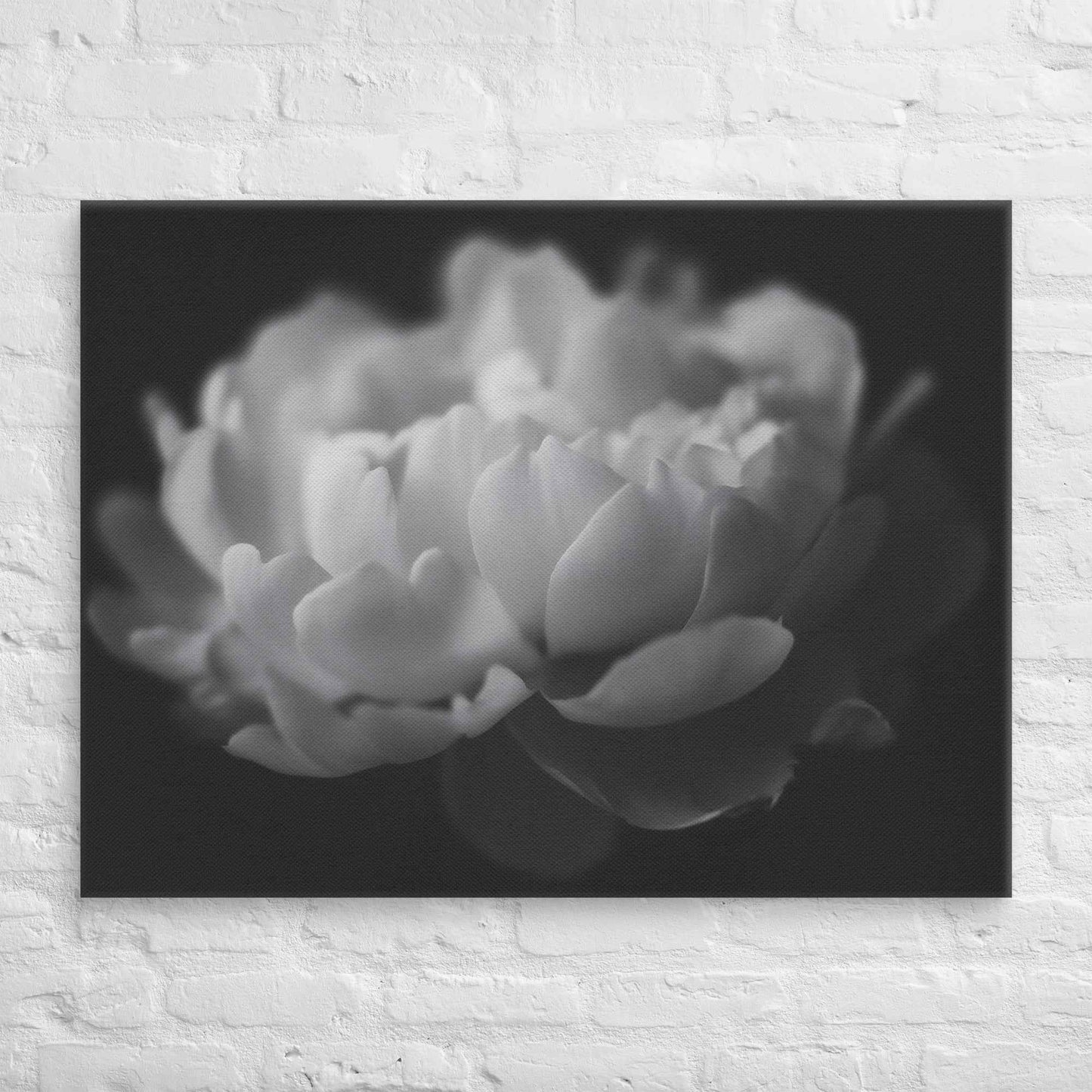 Contrast in Nature Floral Photorealistic Digital Artwork Peonies Wall Art Black and White Canvas Wall Art Print