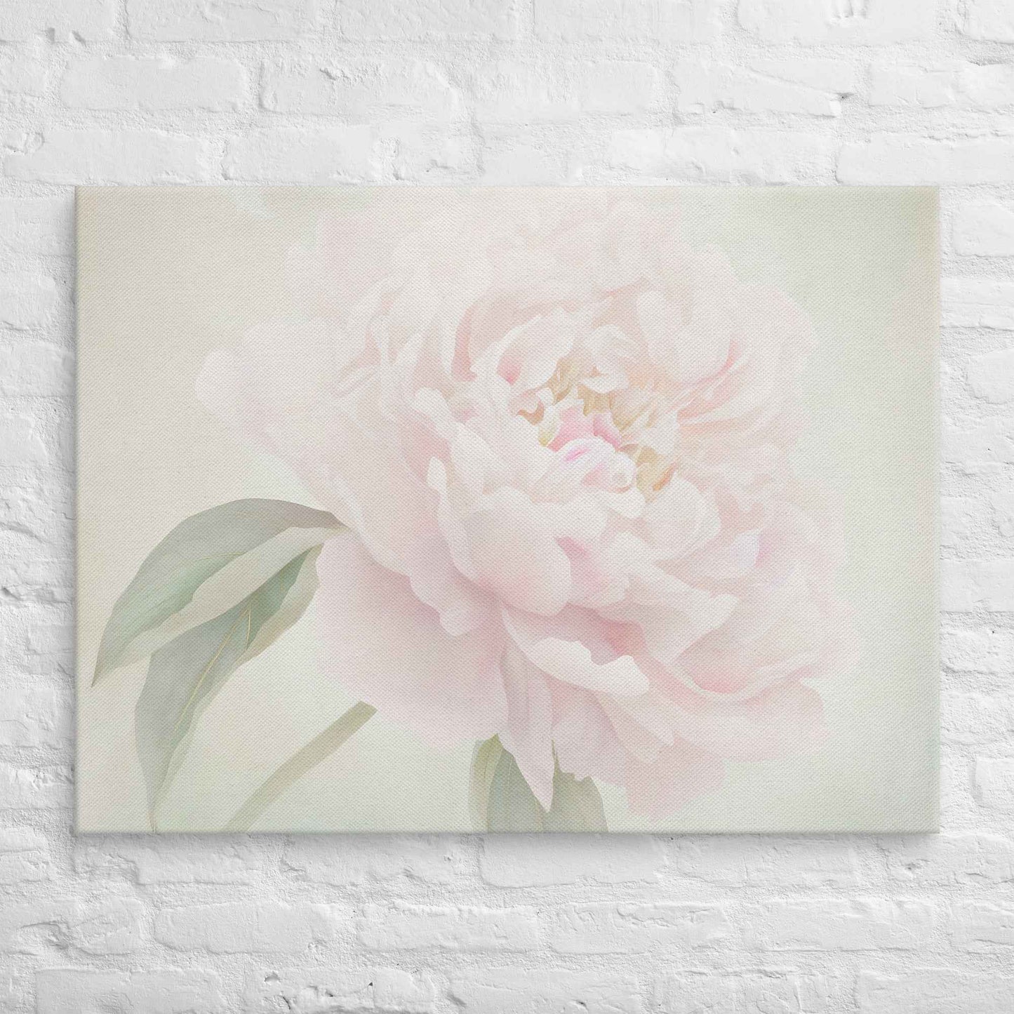 Hazy Bloom Floral Digital Artwork Peony Still Life Canvas Wall Art Print