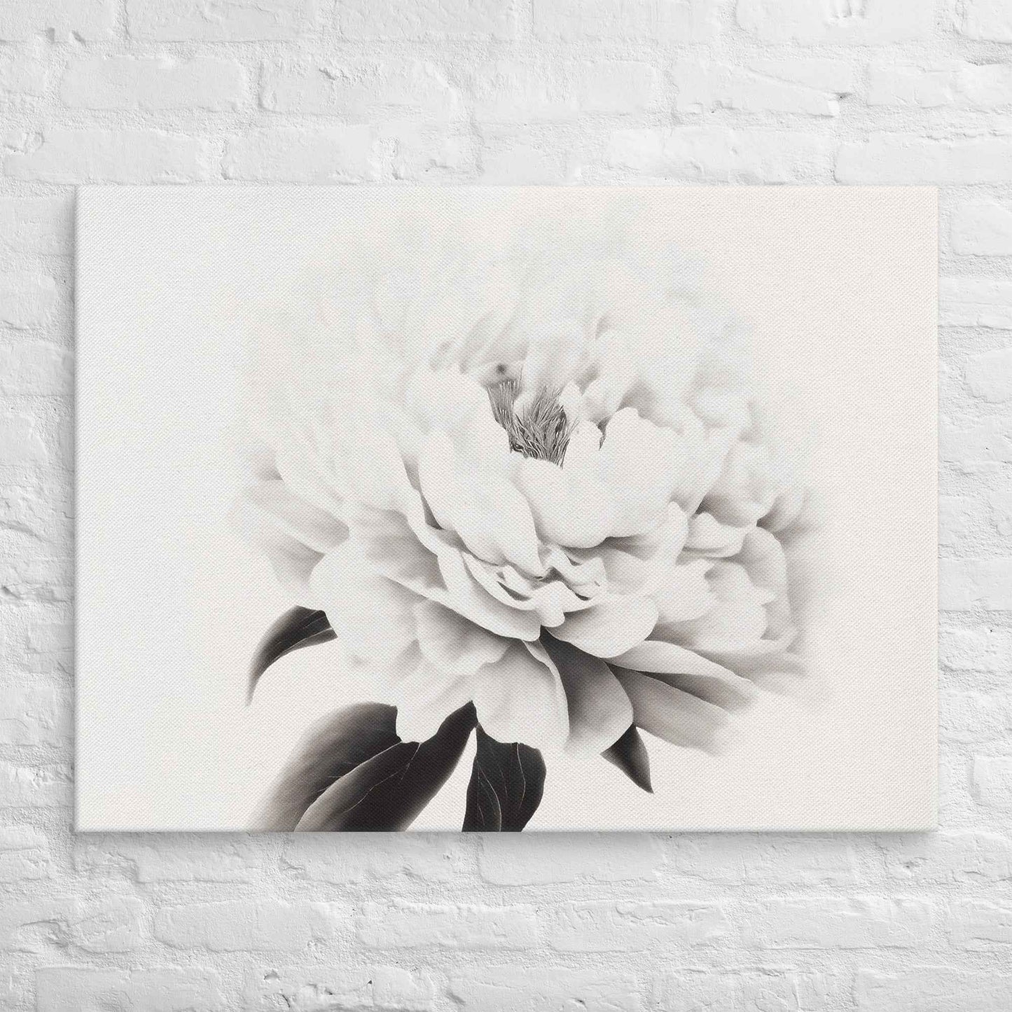 Pure Petals Floral Digital Artwork Abstract Peony Print Canvas Wall Art