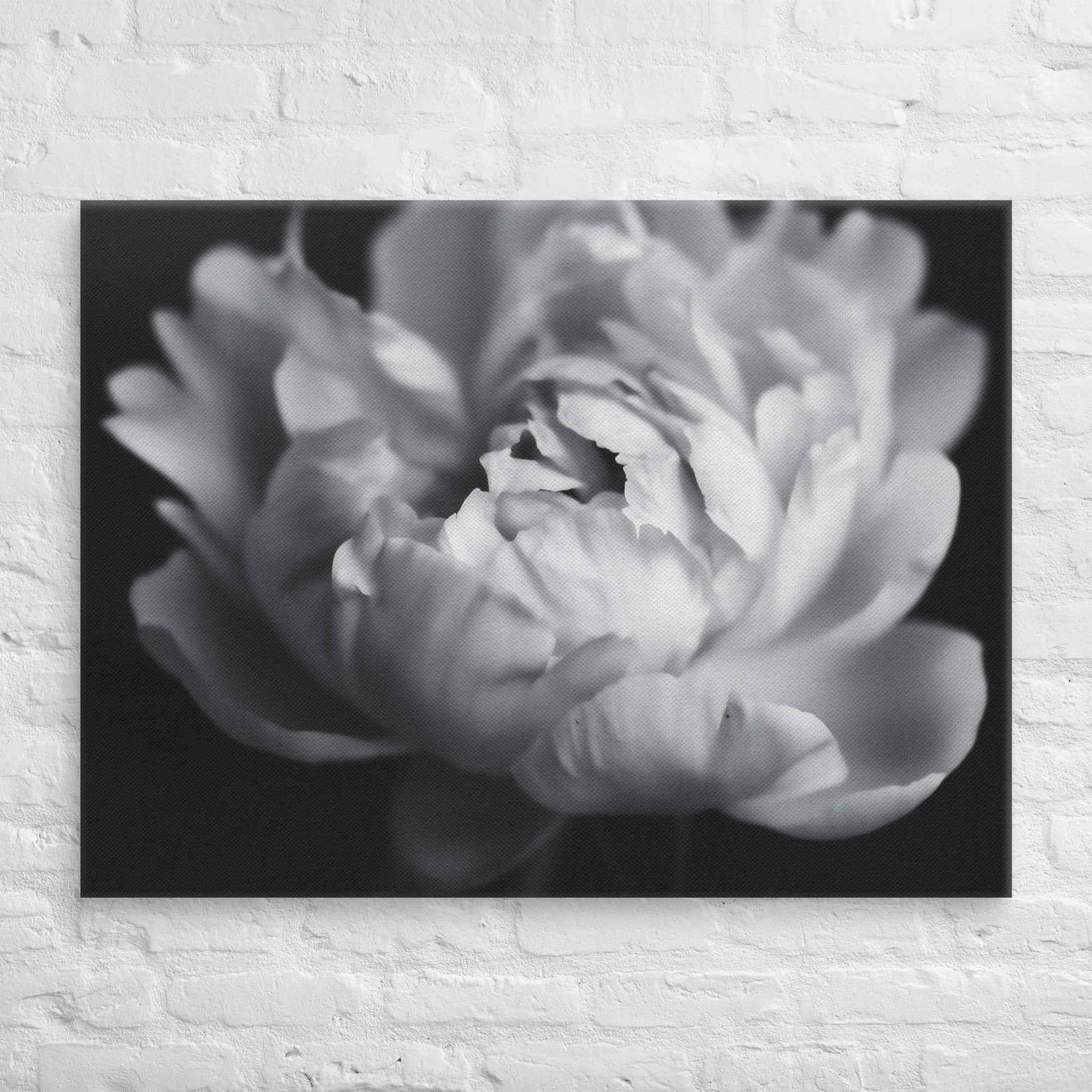 Shadow and Silk Floral Photorealistic Digital Art Peony Artwork Canvas Wall Art Print