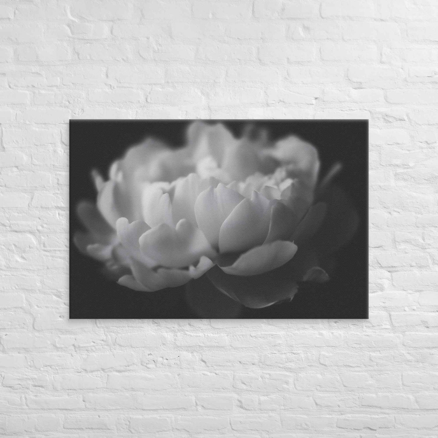 Contrast in Nature Floral Photorealistic Digital Artwork Peonies Wall Art Black and White Canvas Wall Art Print