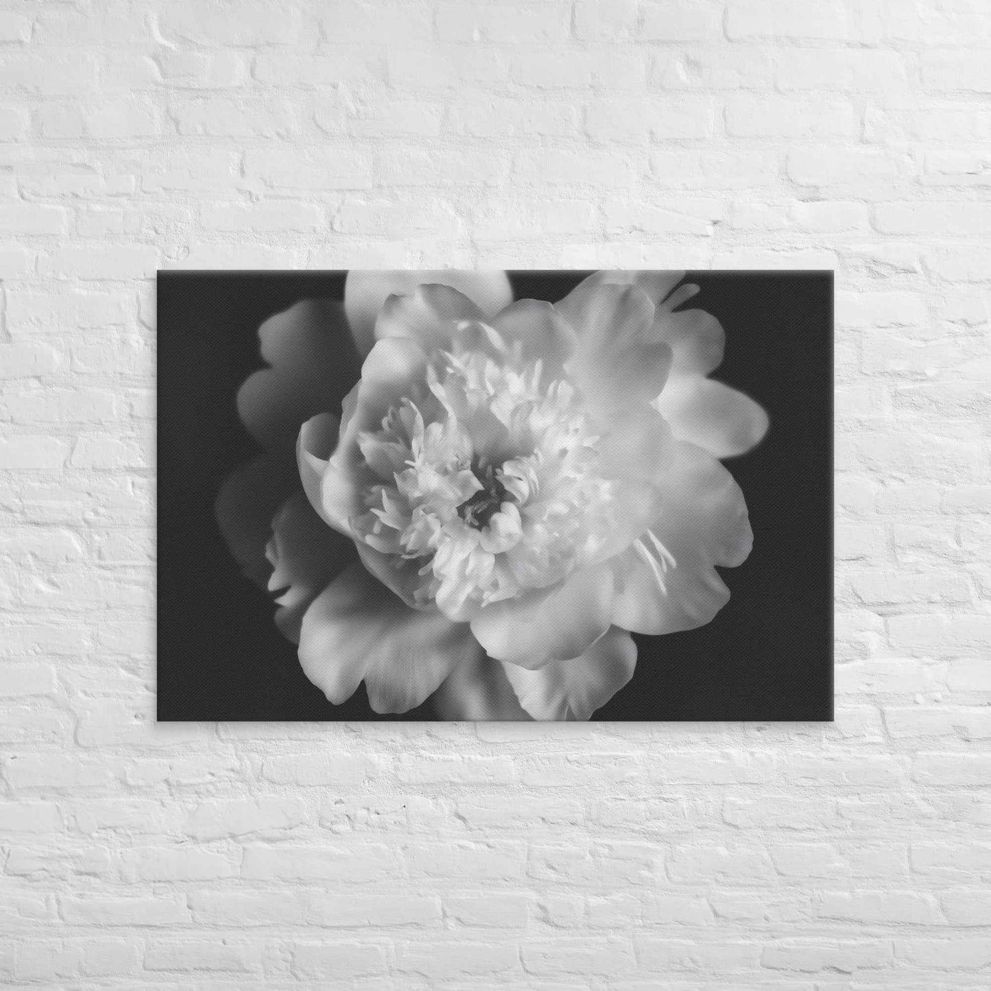 Lingering Fragrance Floral Photorealistic Digital Artwork Peonies Print Canvas Wall Art