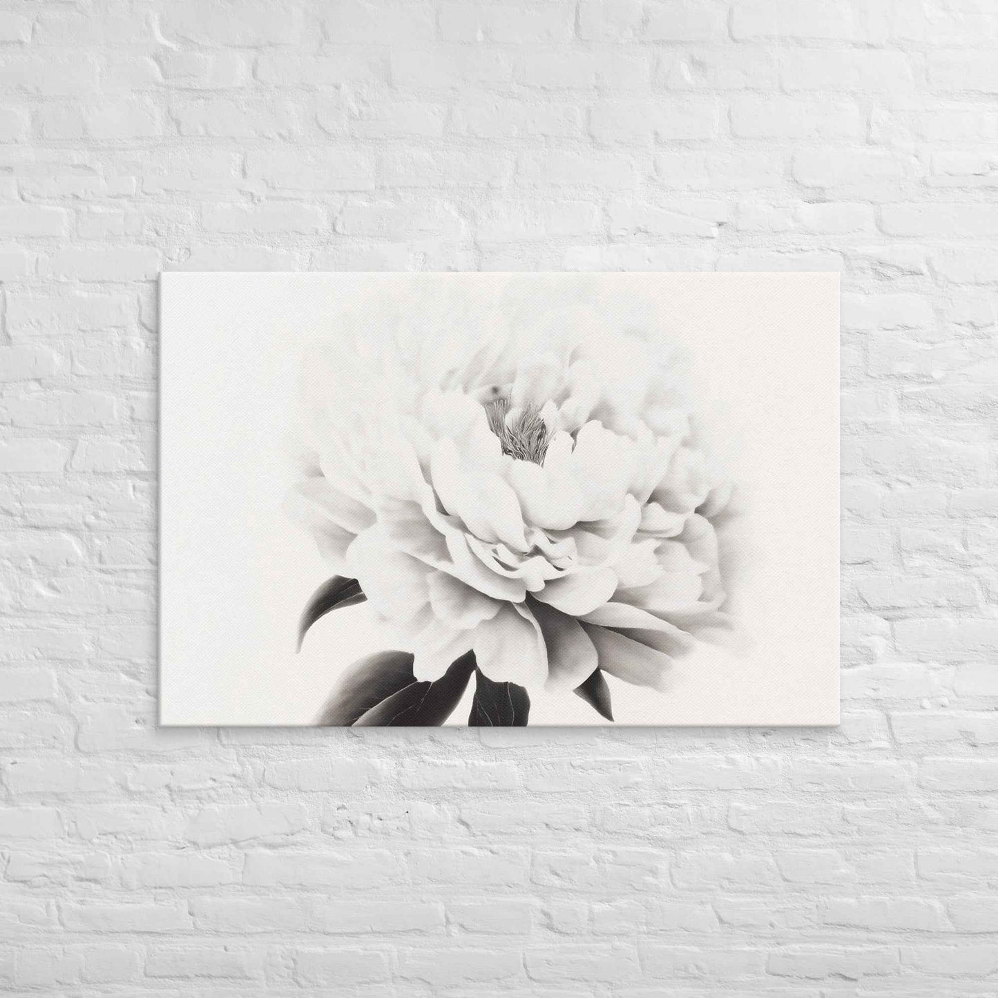 Pure Petals Floral Digital Artwork Abstract Peony Print Canvas Wall Art