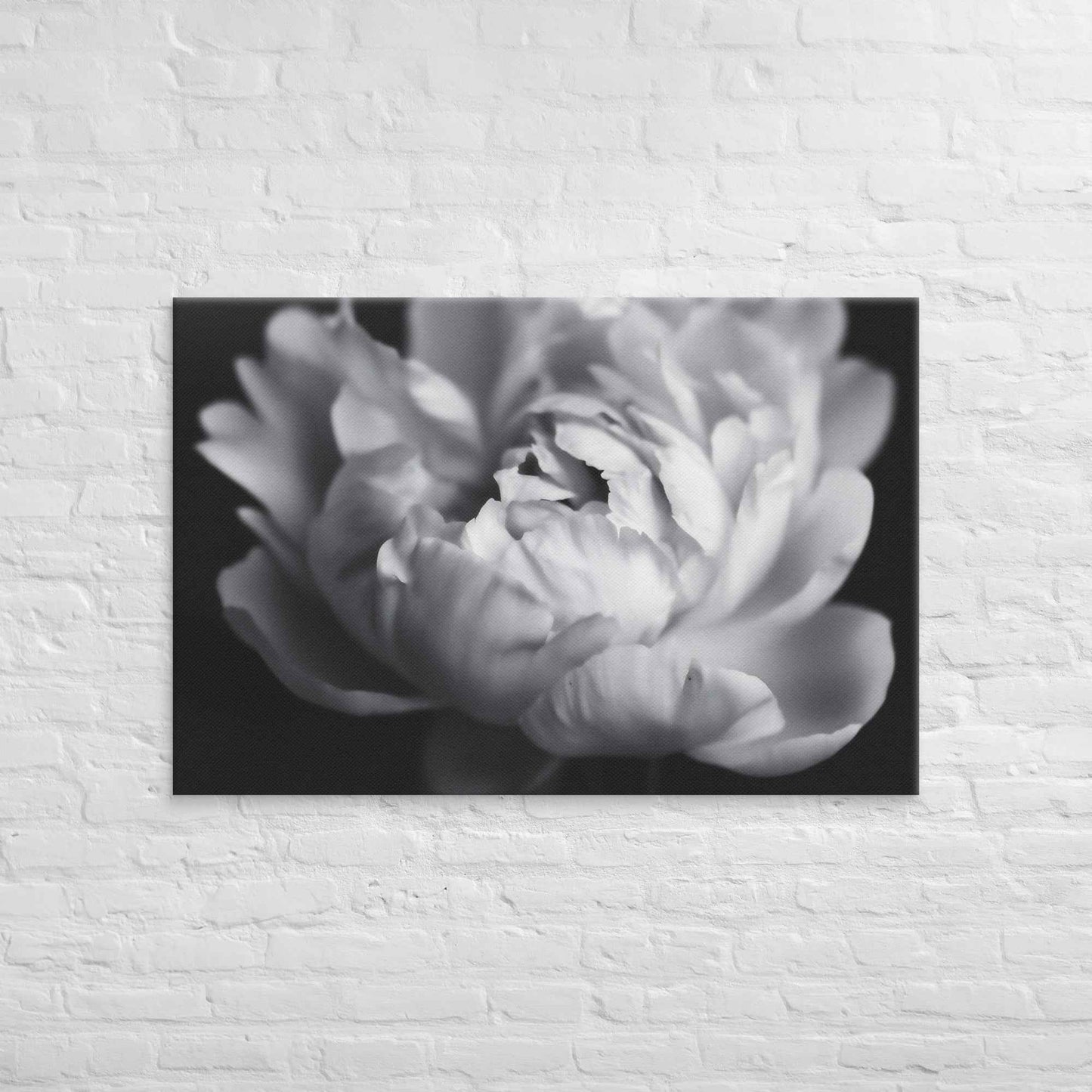 Shadow and Silk Floral Photorealistic Digital Art Peony Artwork Canvas Wall Art Print