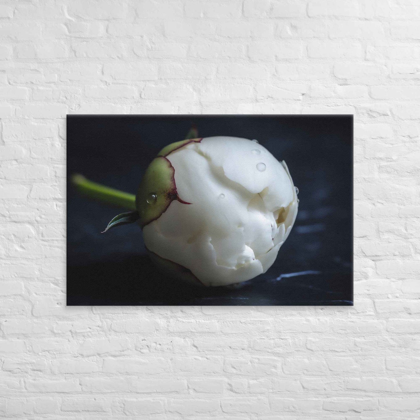 Stark Botanical Peony Bud Floral Photorealistic Digital Artwork Canvas Wall Art Print