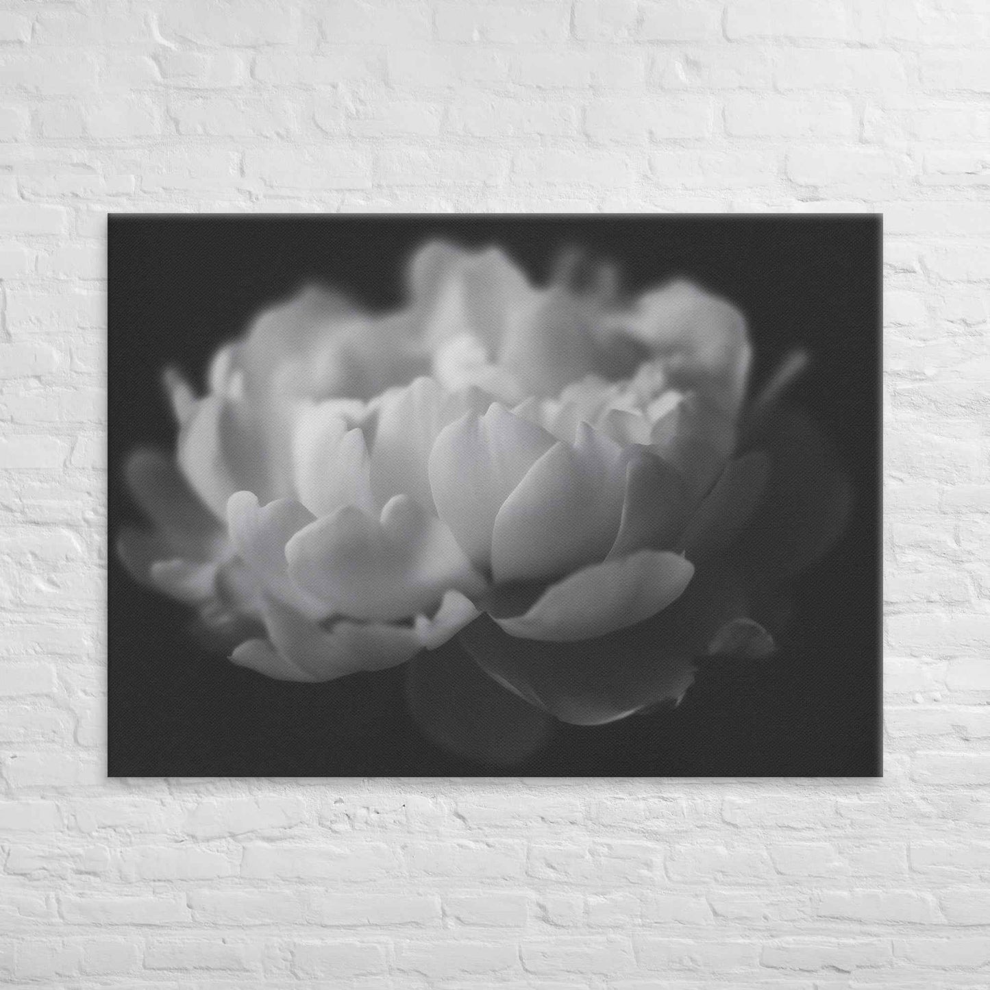 Contrast in Nature Floral Photorealistic Digital Artwork Peonies Wall Art Black and White Canvas Wall Art Print