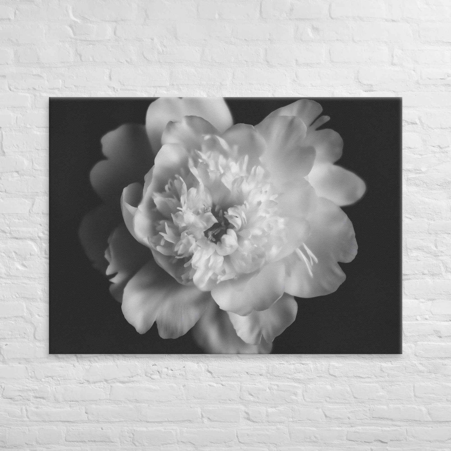 Lingering Fragrance Floral Photorealistic Digital Artwork Peonies Print Canvas Wall Art