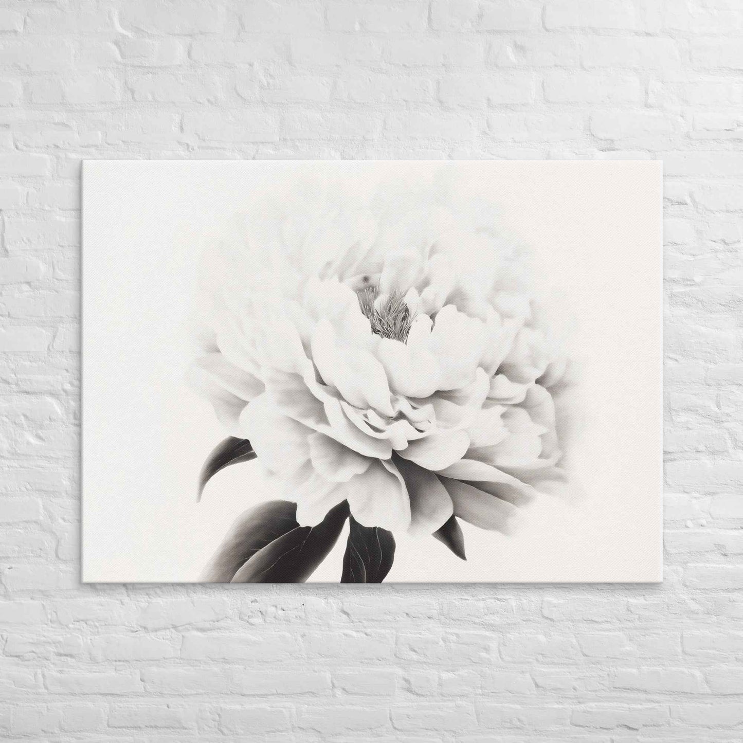Pure Petals Floral Digital Artwork Abstract Peony Print Canvas Wall Art