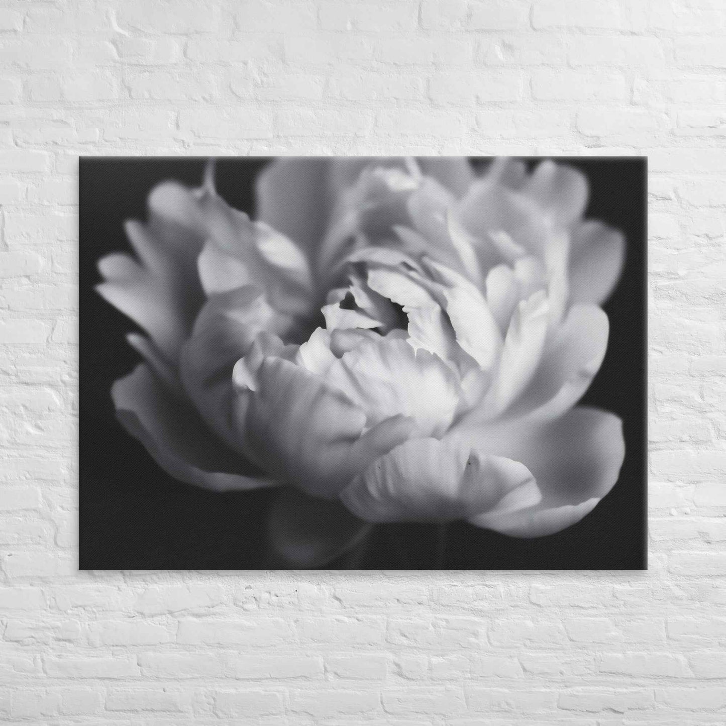 Shadow and Silk Floral Photorealistic Digital Art Peony Artwork Canvas Wall Art Print