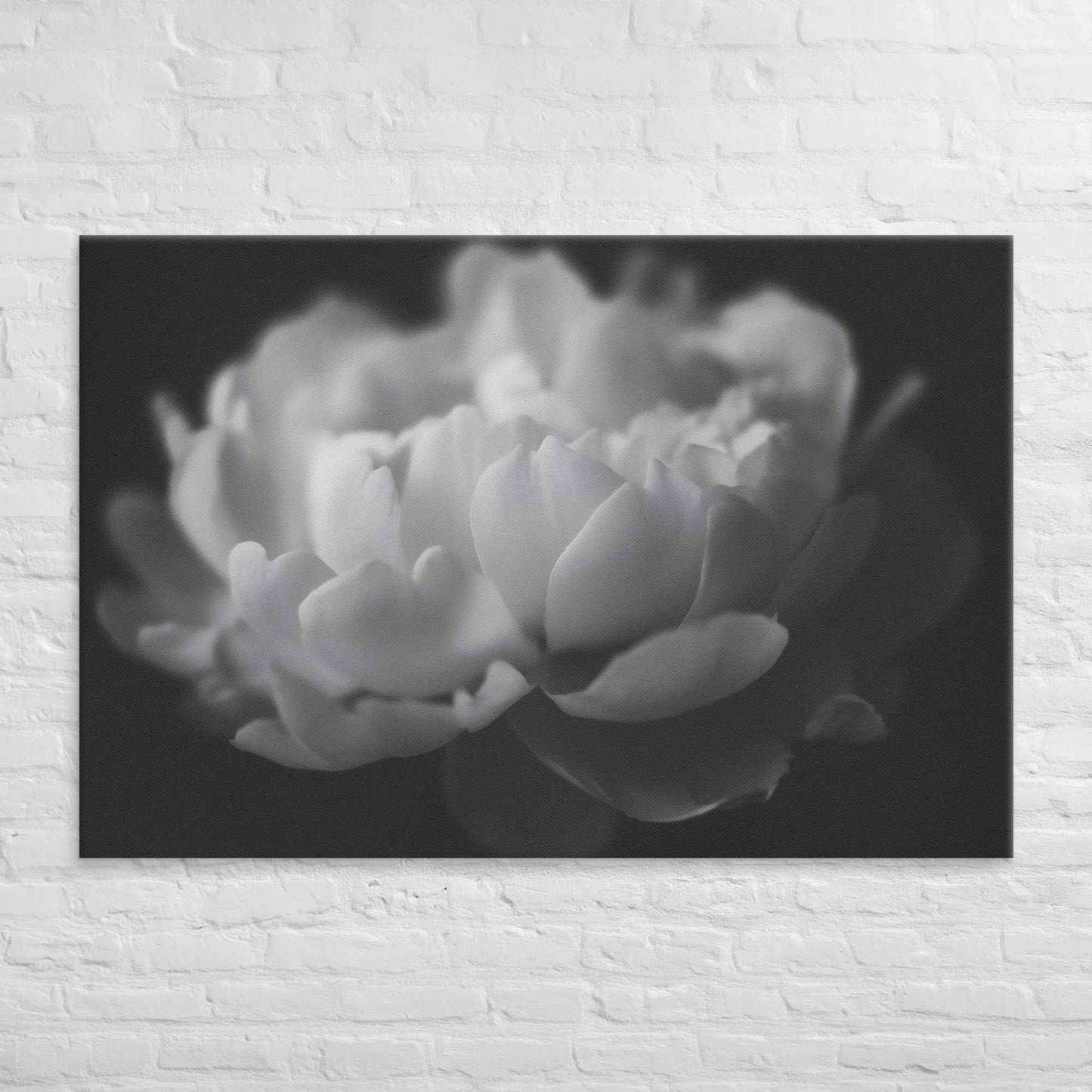 Contrast in Nature Floral Photorealistic Digital Artwork Peonies Wall Art Black and White Canvas Wall Art Print