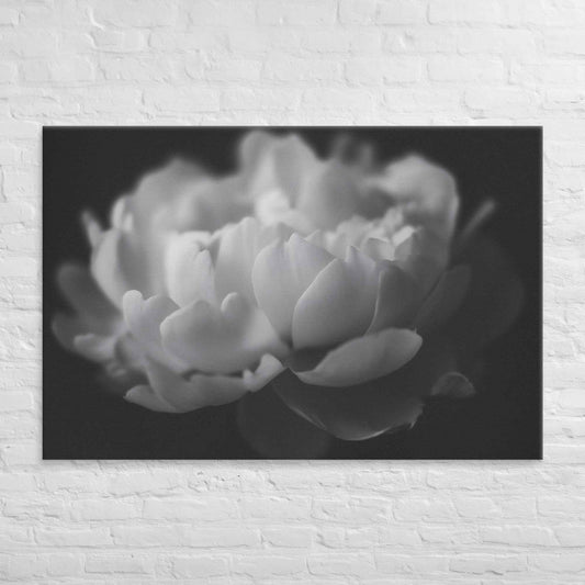 Contrast in Nature Floral Photorealistic Digital Artwork Peonies Wall Art Black and White Canvas Wall Art Print