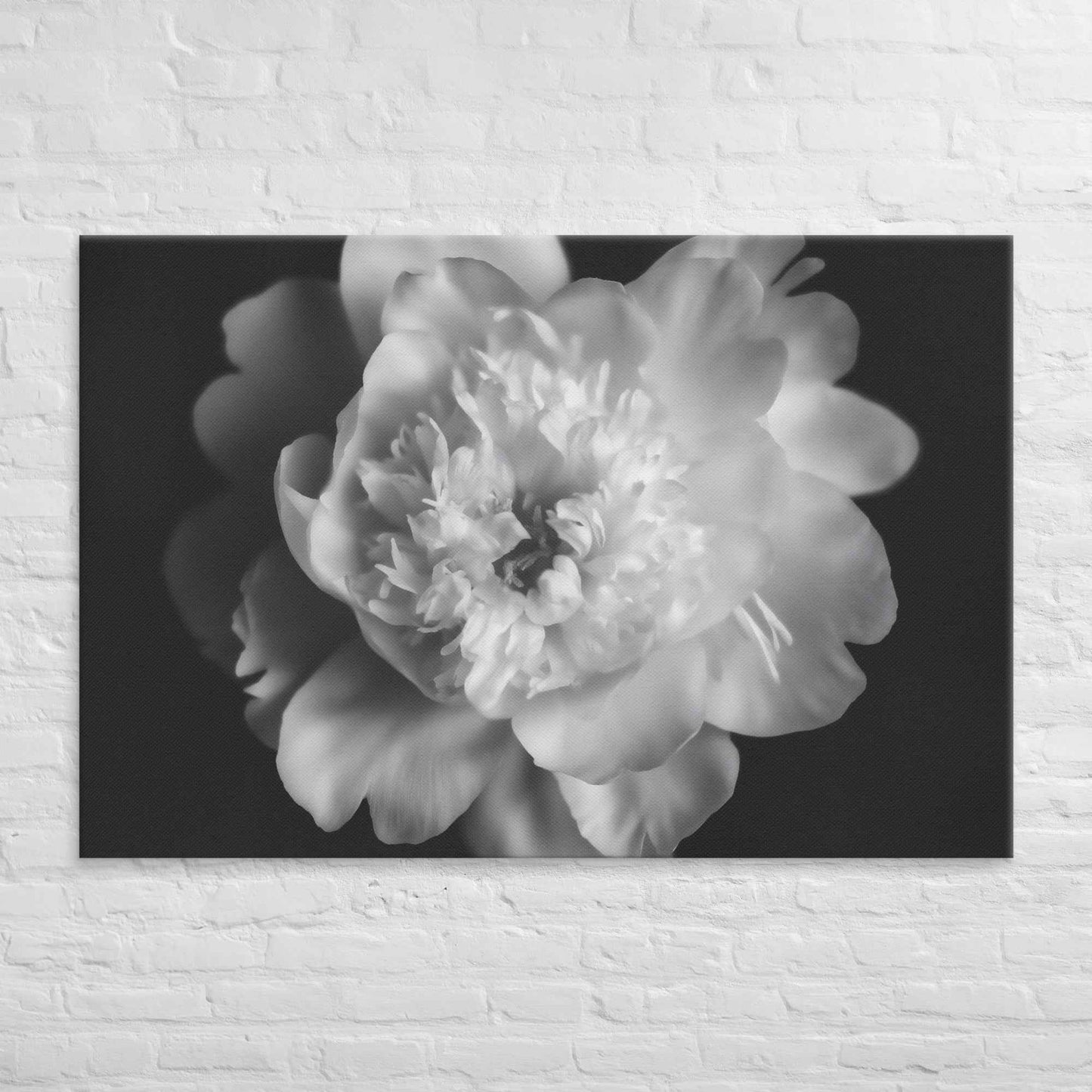 Lingering Fragrance Floral Photorealistic Digital Artwork Peonies Print Canvas Wall Art