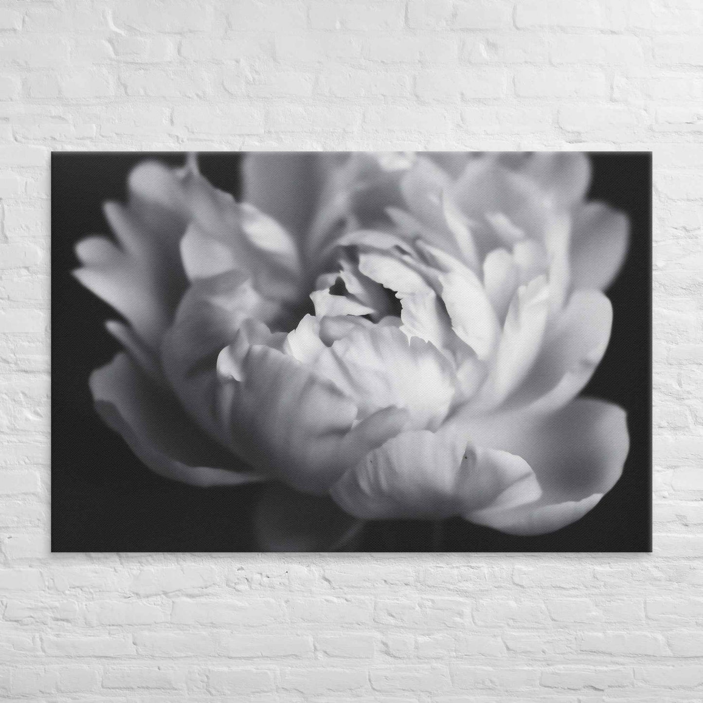 Shadow and Silk Floral Photorealistic Digital Art Peony Artwork Canvas Wall Art Print