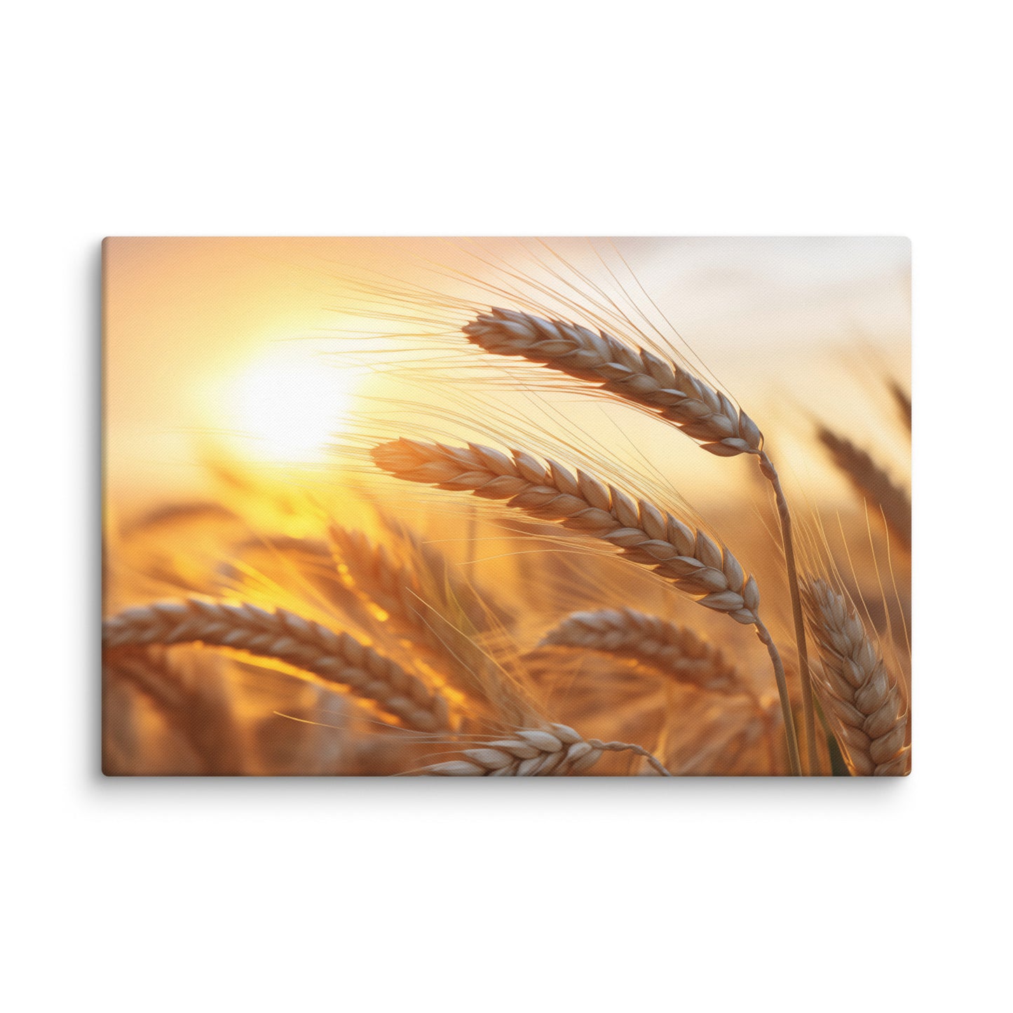 Amber Waves Minimal Botanical Rustic Subdued Wheat Crops Photorealism Painting - Digital Artwork Canvas Art Print