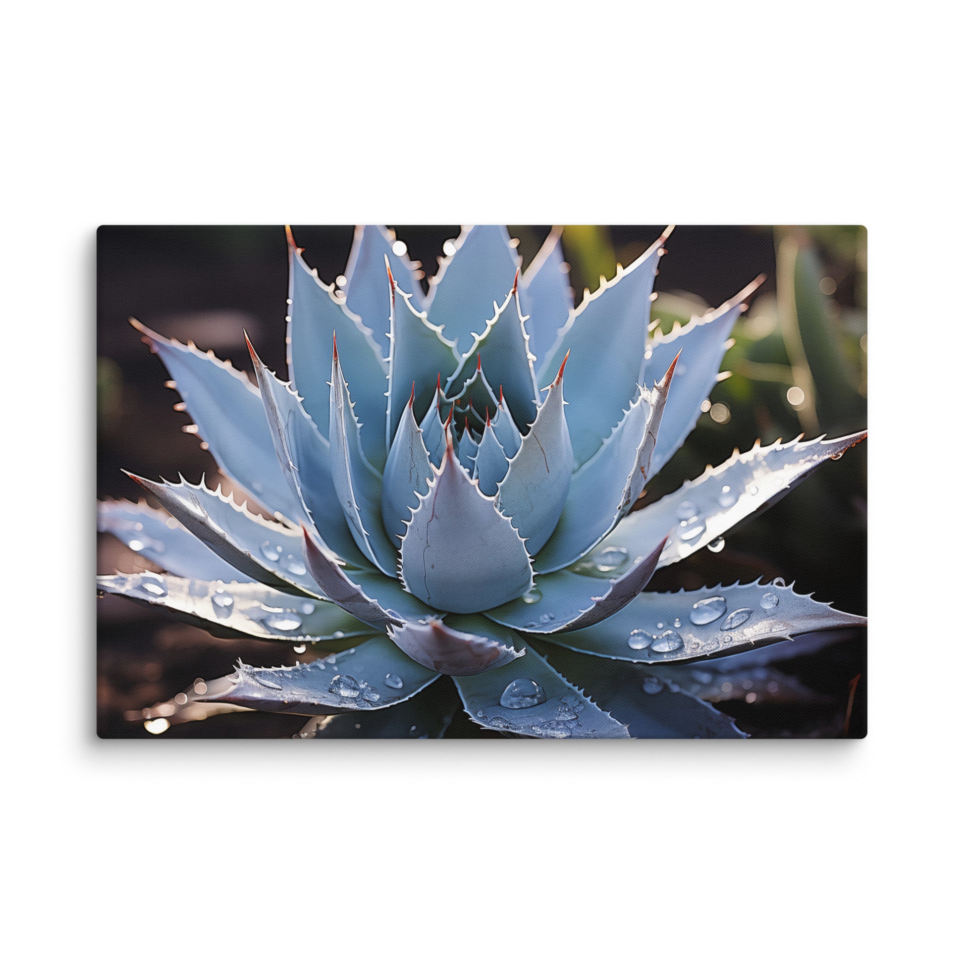 succulent canvas wall art A Moment of Peace – Botanical Succulent Canvas Gallery Wrap
