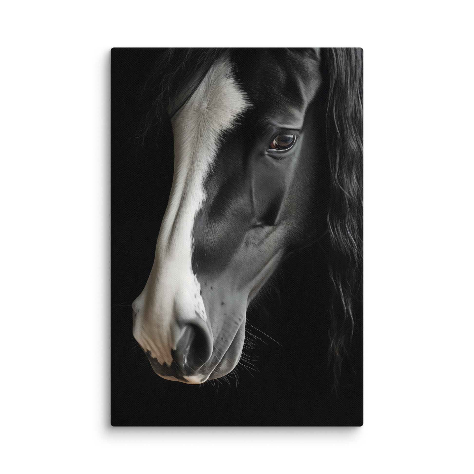 Ebony and Ivory Photorealistic Digital Artwork Canvas Wall Art Print