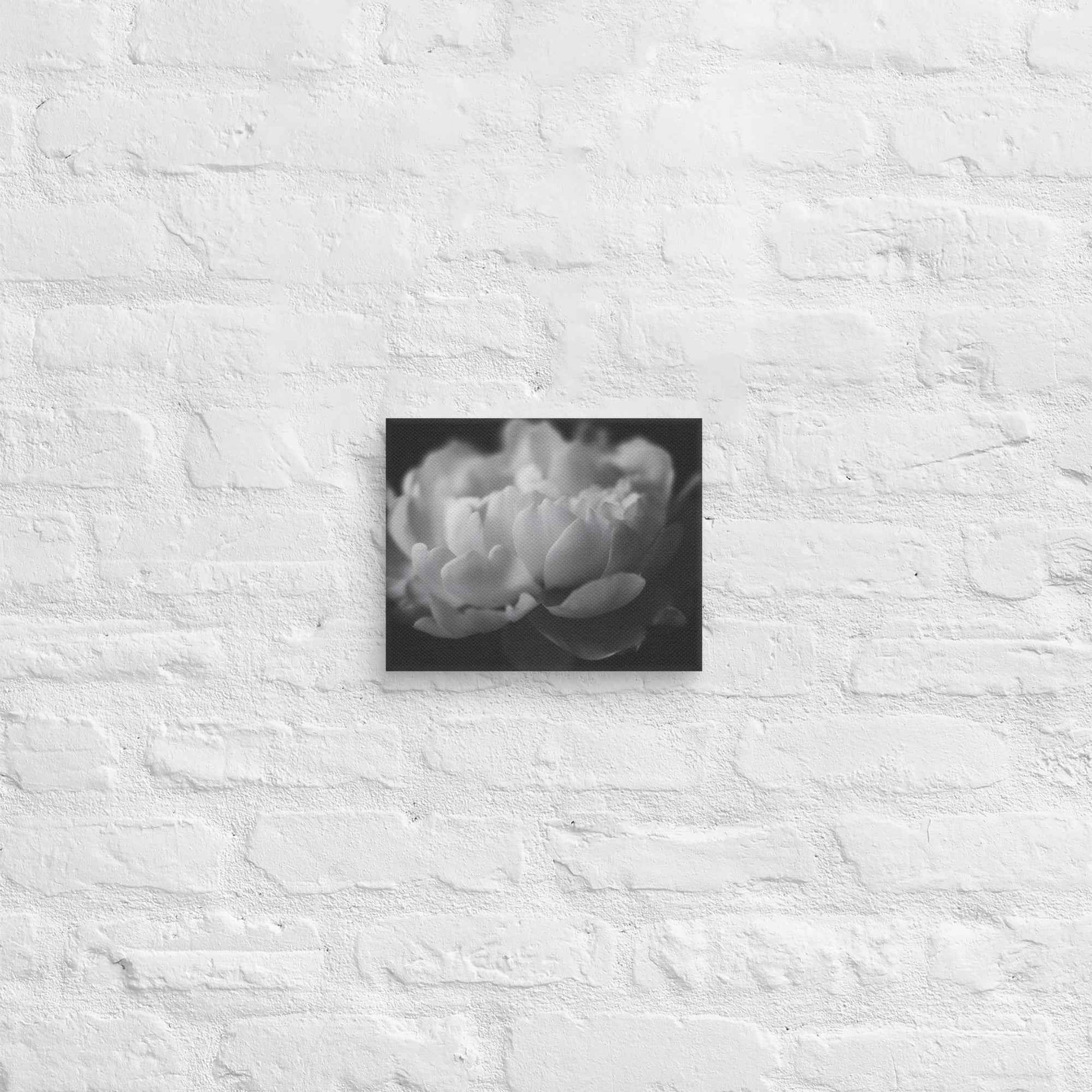 Contrast in Nature Floral Photorealistic Digital Artwork Peonies Wall Art Black and White Canvas Wall Art Print