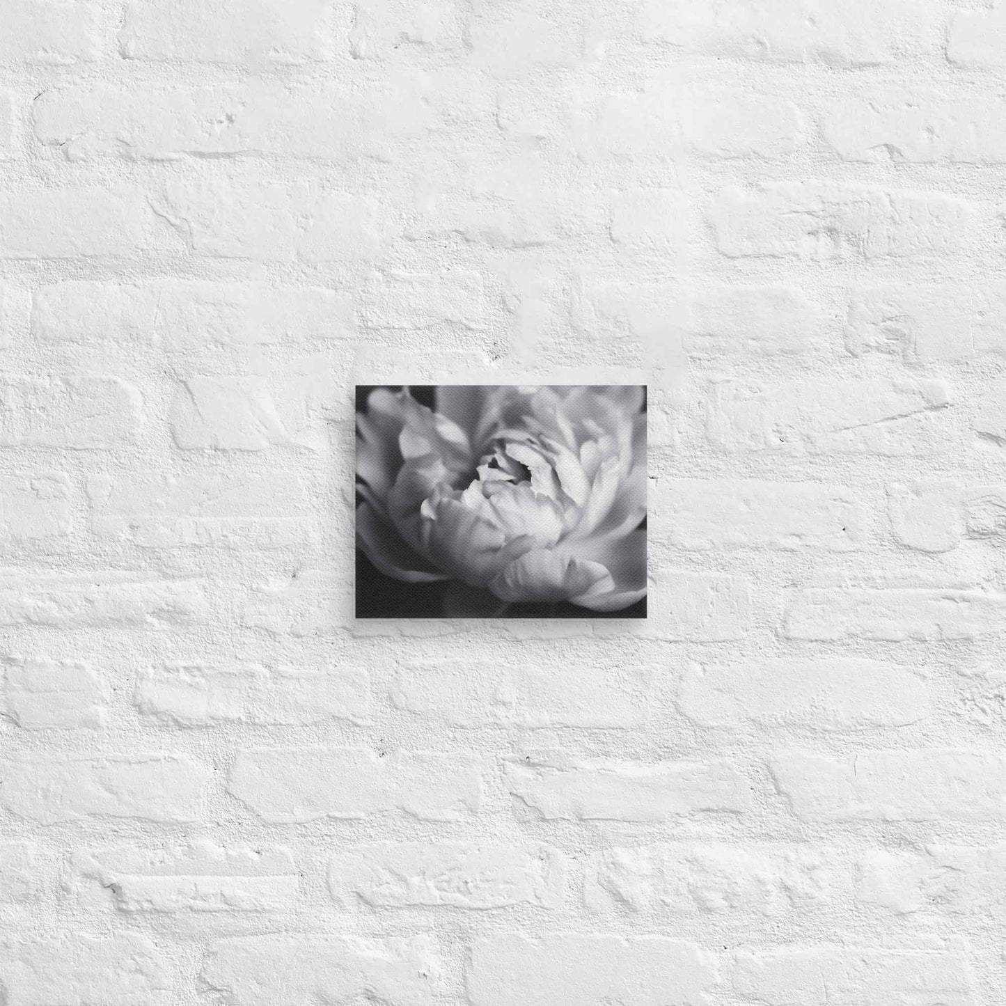 Shadow and Silk Floral Photorealistic Digital Art Peony Artwork Canvas Wall Art Print