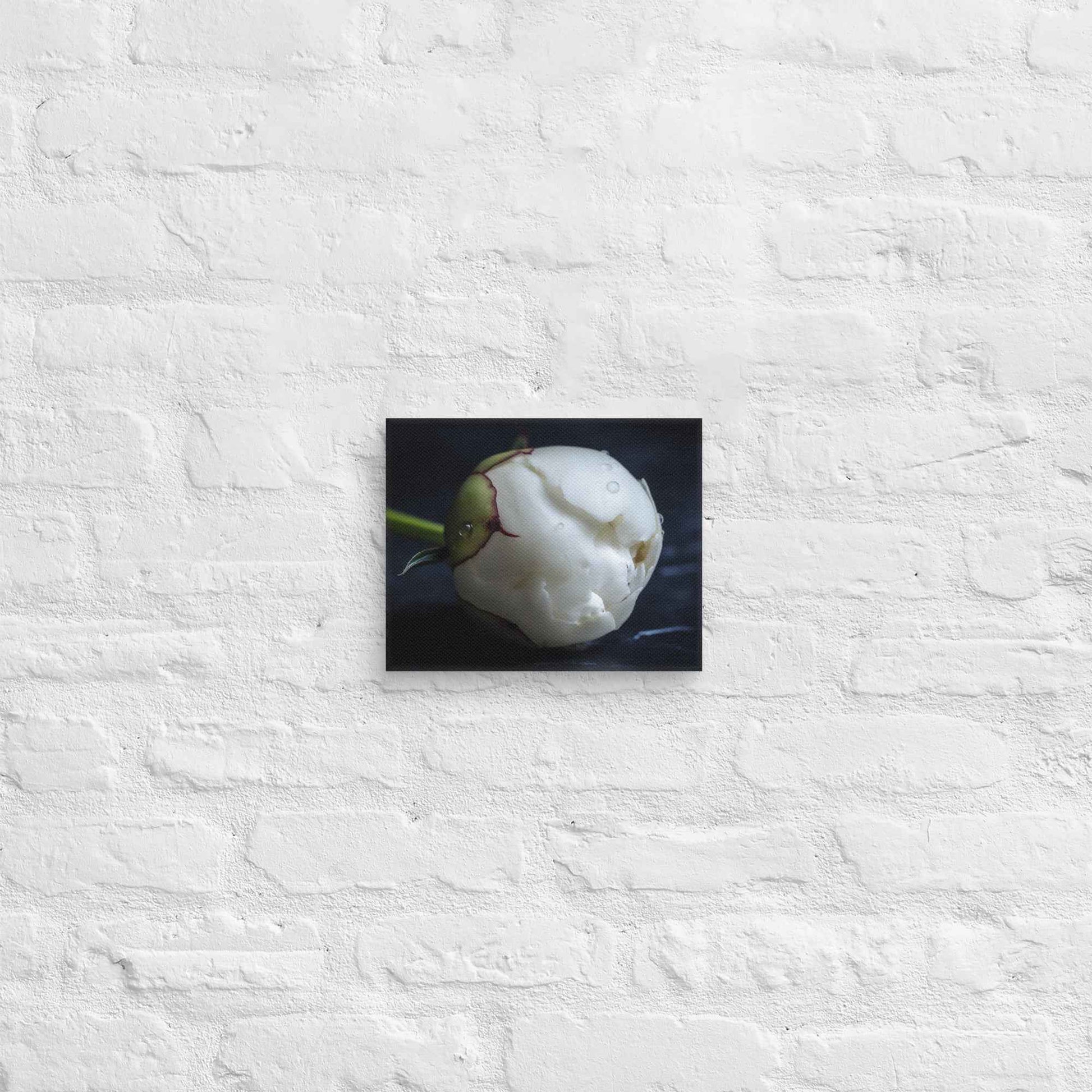 Stark Botanical Peony Bud Floral Photorealistic Digital Artwork Canvas Wall Art Print