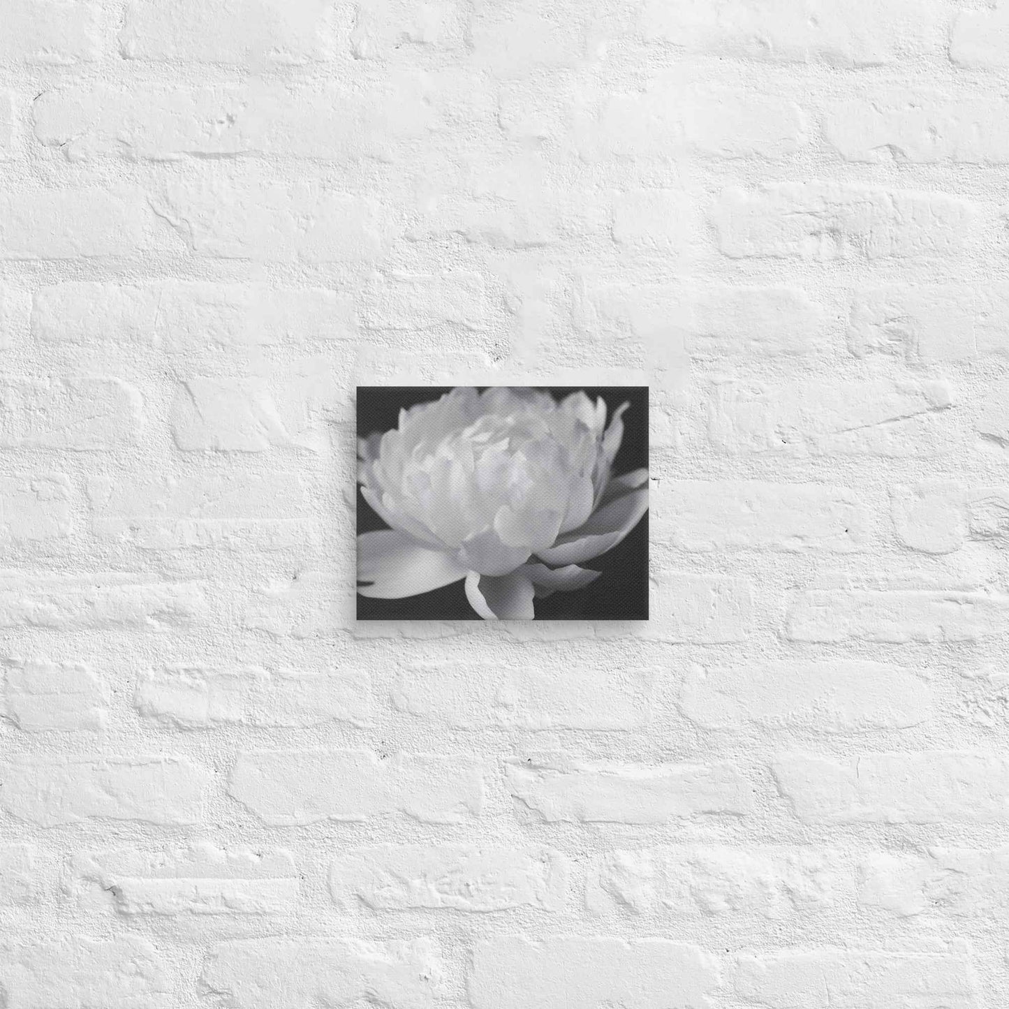 Velvet Shadows Floral Photorealistic Digital Artwork Peony Flower Prints Black and White Canvas