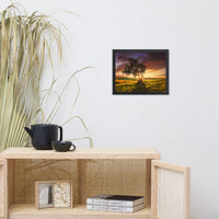 Countryside Olive Tree Sunset Landscape Photo Framed Wall Art Print