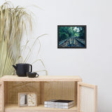 Lead Me into the Light - Colorized Framed Photo Paper Wall Art Prints