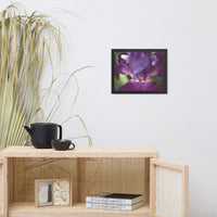 Glowing Iris Moody Midnight Floral Nature Photo Framed Wall Art Print