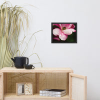 Raindrops on Wild Rose Color Floral Nature Photo Framed Wall Art Print
