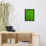 Leaves of Canna Lily Botanical Nature Photo Framed Wall Art Print