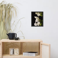 Single Snapdragon Bloom Floral Nature Photo Framed Wall Art Print