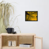 Seasons Change Botanical Nature Photo Framed Wall Art Print