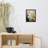 Succulent 4 Botanical Nature Photo Framed Wall Art Print