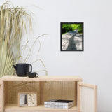 Summer Shadows Botanical Nature Photo Framed Wall Art Print