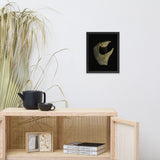 States of Erosion Image 5 Whelk Shell Coastal Nature Photo Framed Wall Art Print